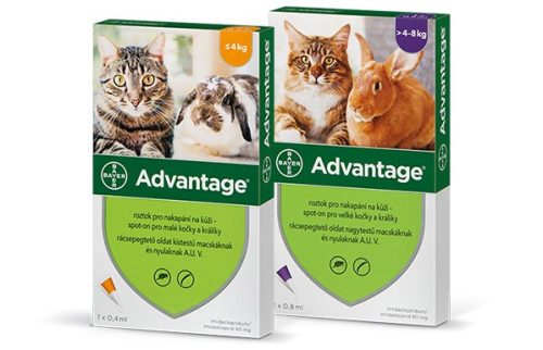 Bayer Advantage 40 spot on oldat 4 db ampulla  A fotó illusztráció , cicára és nyuszira