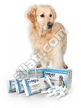 Fypryst  2,68 ml (20-40kg) kutya 1 pipetta , Termék szavatosság : 2023.05.30