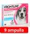 3 doboz : Frontline Tri-Act rácsepegtető oldat 10-20 kg-os kutyáknak (3 db x 2 ml ampulla) ( macskákra nem rakható )