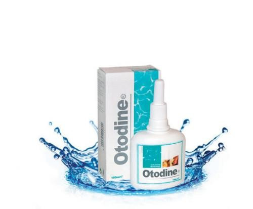Otodine 100 ml kutyáknak és macskáknak