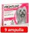 3 doboz : Frontline Tri-Act rácsepegtető oldat 2-5 kg-os kutyáknak (3 ampulla) ( macskákra nem rakható )
