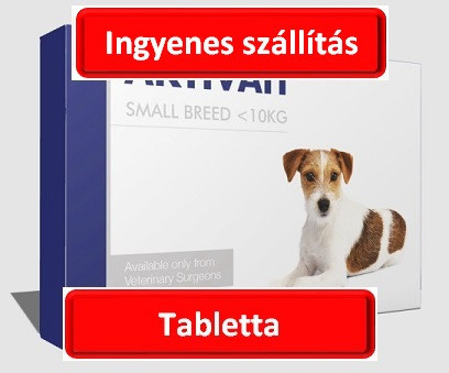 Aktivait small breed kutya tabletta 60 db , Termék szavatosság : 2025.06.30