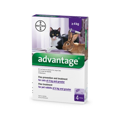 Bayer Advantage 80 spot on oldat 4 db ampulla .  A fotó illusztráció 